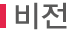 비전